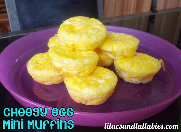 Egg and Cheese Mini Muffins Perfect for Toddler or Infant Breakfast Finger Foods