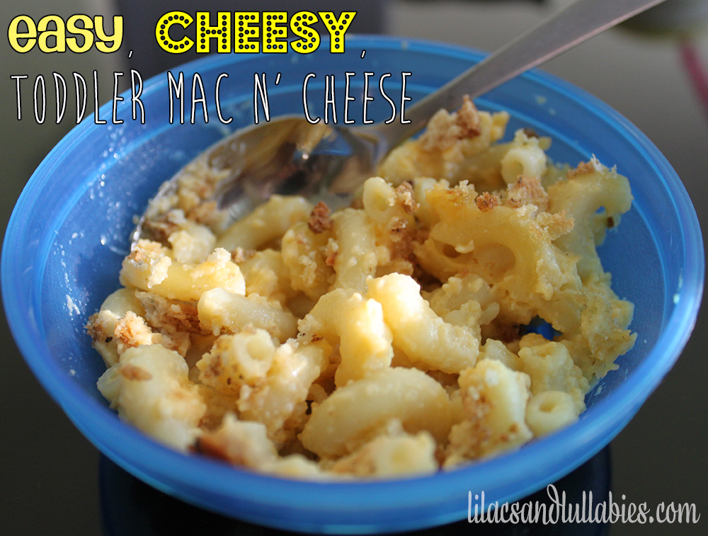 Easy Cheesy Toddler Mac n Cheese -  Super simple and delicious Macaroni & Cheese that parents will love too! www.lilacsandlullabies.com